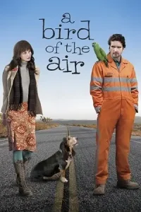 A bird of the air - vegamovies, Vegamovies0.com