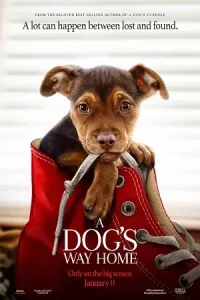 A dogs way home 2019 poster - vegamovies, Vegamovies0.com