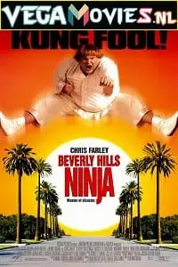 Beverly hills ninja 1997 - vegamovies, Vegamovies0.com