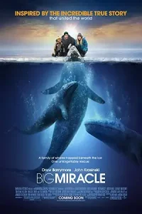 Big miracle hindi dubbed - vegamovies, Vegamovies0.com