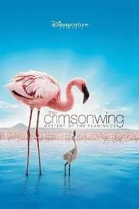 Download the crimson wing mystery of the flamingos 2008 - vegamovies, Vegamovies0.com