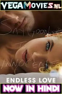 Endless love 2014 poster - vegamovies, Vegamovies0.com