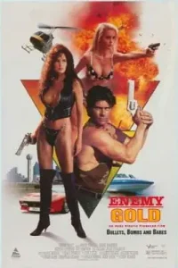 Enemy gold 1993 unrated - vegamovies, Vegamovies0.com