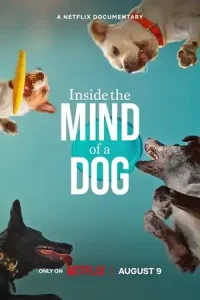 Inside the mind of a dog - vegamovies, Vegamovies0.com