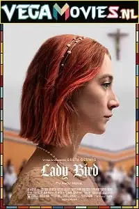 Lady bird 2017 dual audio - vegamovies, Vegamovies0.com