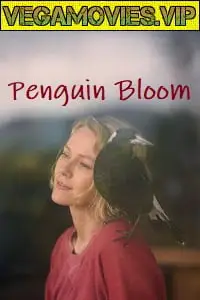 Penguin bloom 2020 - vegamovies, Vegamovies0.com