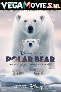 Polar bear 2022 - vegamovies, Vegamovies0.com