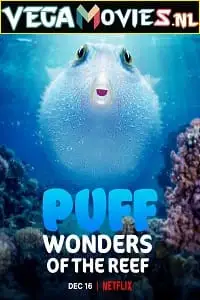 Puff wonders of the reef 2021 - vegamovies, Vegamovies0.com