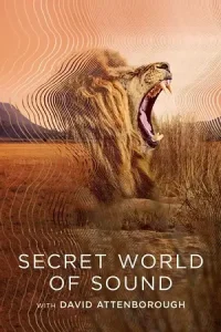 Secret world of sound with david attenborough - vegamovies, Vegamovies0.com