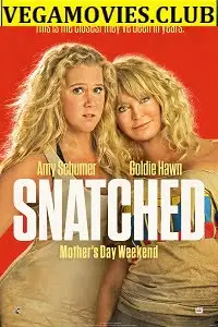 Snatched 2017 - vegamovies, Vegamovies0.com