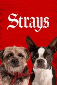 Strays 2023 english - vegamovies, Vegamovies0.com