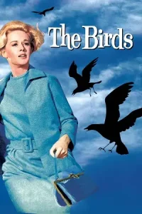 The birds 1963 poster - vegamovies, Vegamovies0.com