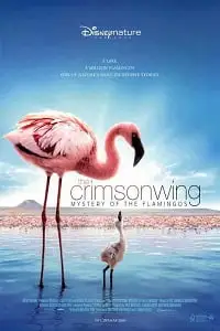 The crimson wing mystery of the flamingos - vegamovies, Vegamovies0.com