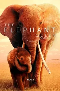 The elephant queen 2019 - vegamovies, Vegamovies0.com