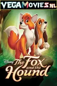 The fox and the hound 1981 - vegamovies, Vegamovies0.com