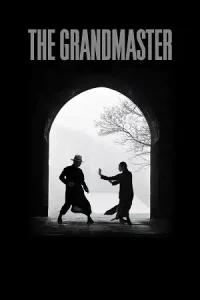 The grandmaster 2013 dual audio vegamoviues - vegamovies, Vegamovies0.com