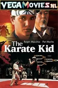 The karate kid 1984 1 - vegamovies, Vegamovies0.com