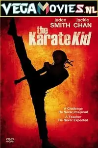 The karate kid 2010 hindi - vegamovies, Vegamovies0.com