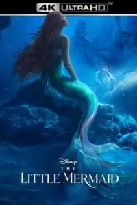 The little mermaid 2023 hindi dubbed org bluray print - vegamovies, Vegamovies0.com