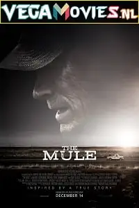 The mule - vegamovies, Vegamovies0.com