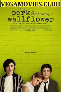 The perks of being a wallflower 2012 - vegamovies, Vegamovies0.com