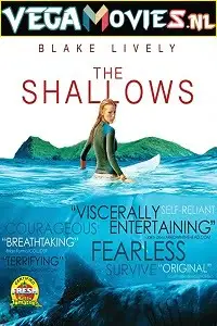 The shallows 2016 720p hevc bluray - vegamovies, Vegamovies0.com