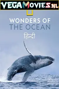 Wonders of the ocean 2021 - vegamovies, Vegamovies0.com